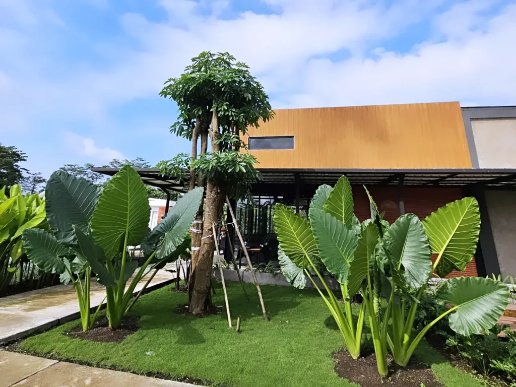 jasa tukang taman bekasi